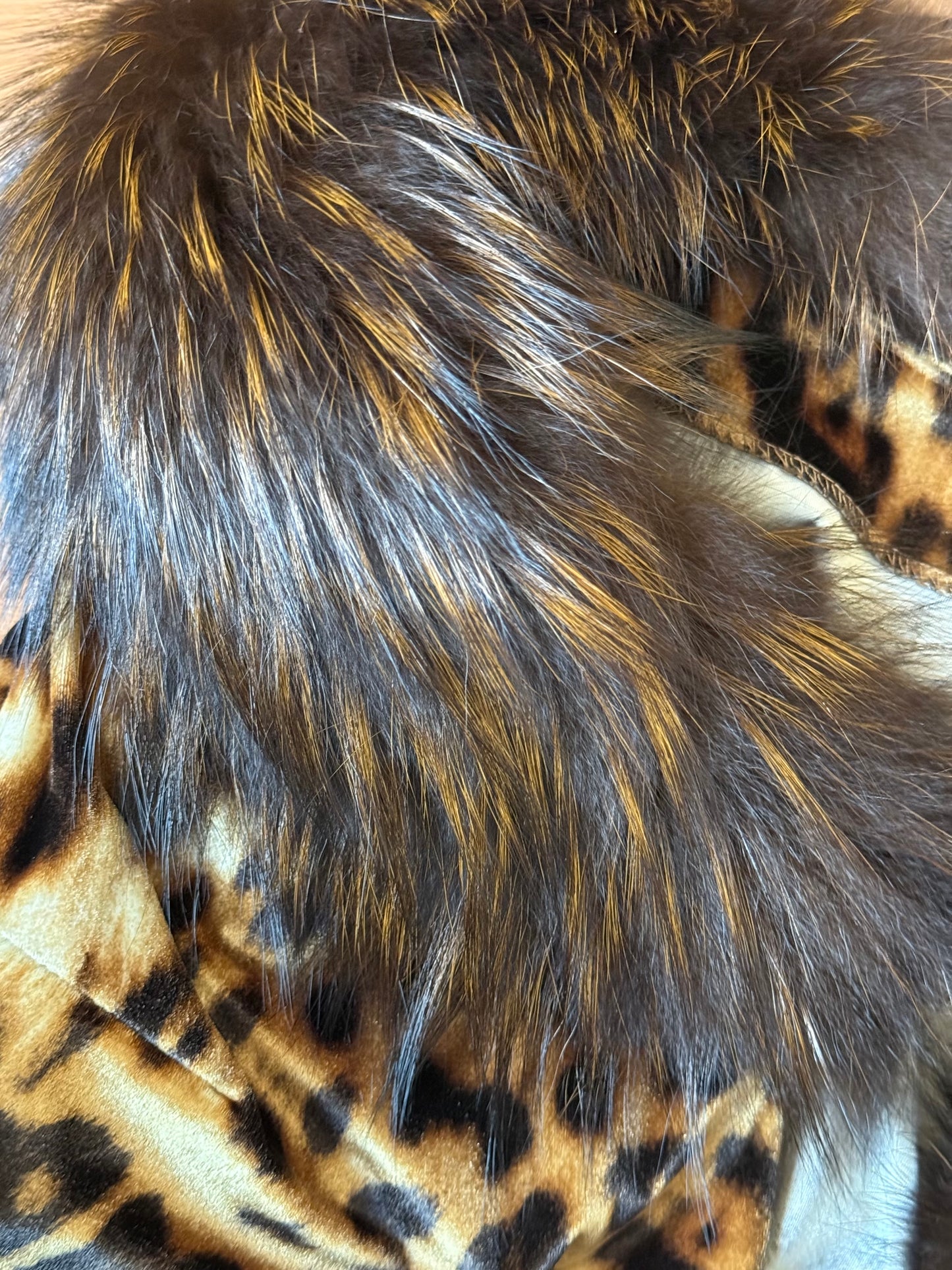 Roberto Cavalli cardigan