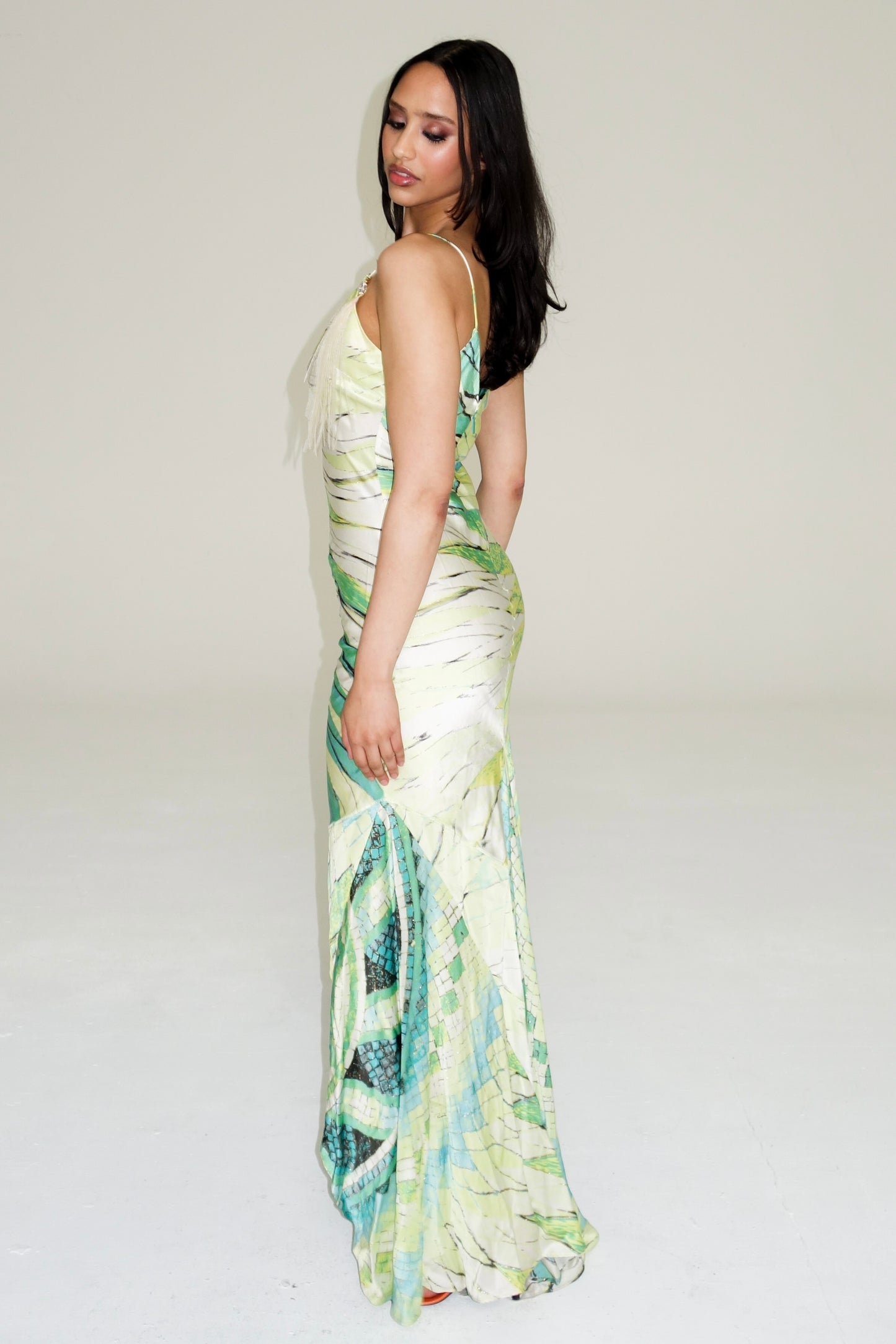 Roberto Cavalli ss 2004 dress